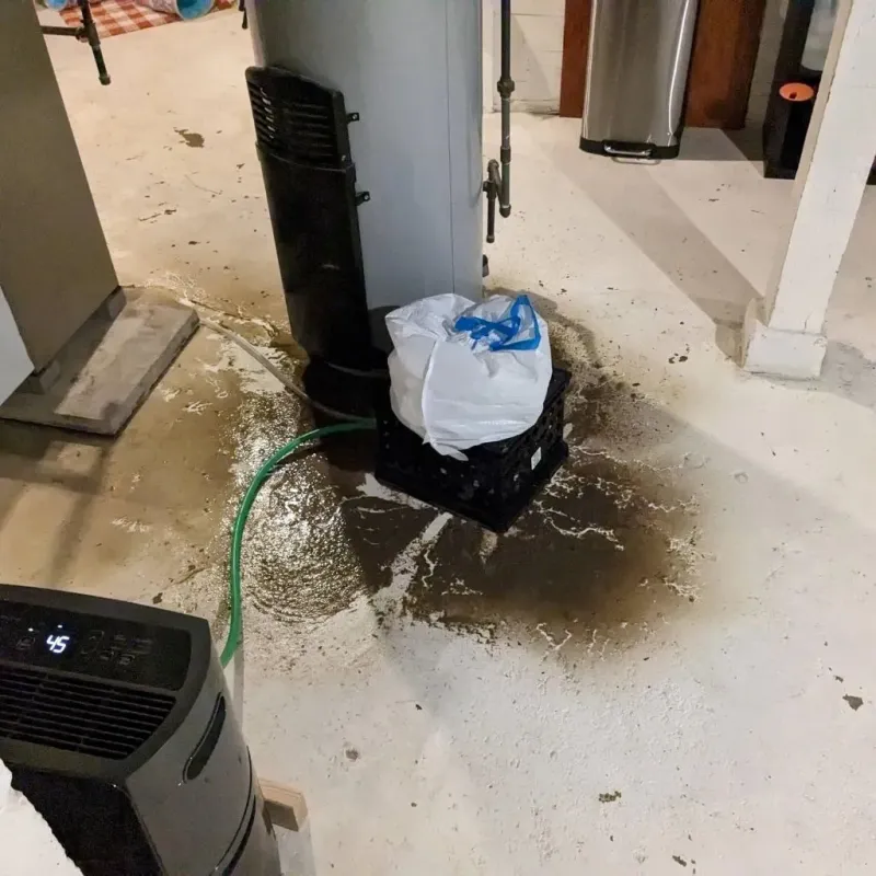 Sewage Backup Cleanup Service in Mountain View, HI